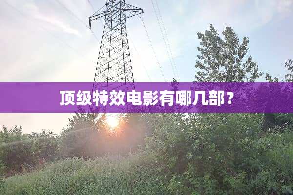 **特效电影有哪几部？