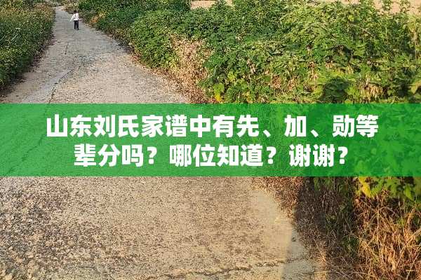 山东刘氏家谱中有先、加、勋等辈分吗？哪位知道？谢谢？
