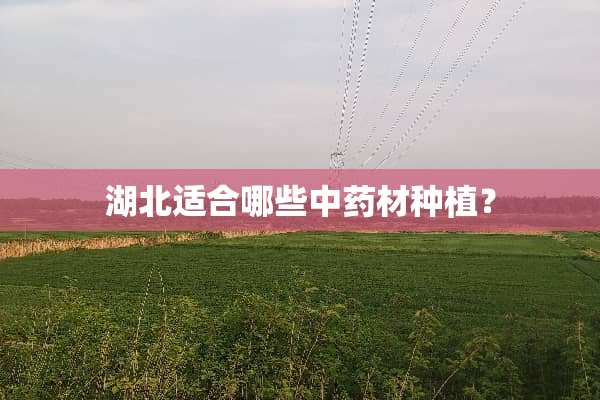 湖北适合哪些中药材种植？