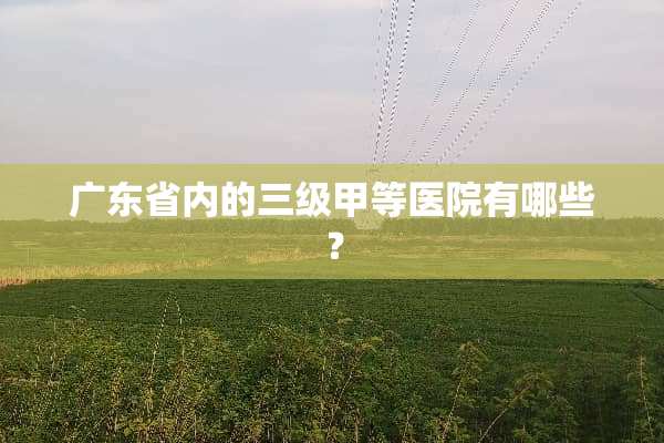 广东省内的**甲等医院有哪些？