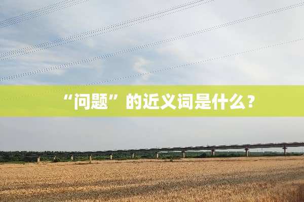 “问题”的近义词是什么？