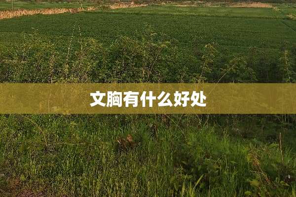 文胸有什么好处