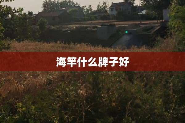 海竿什么牌子好