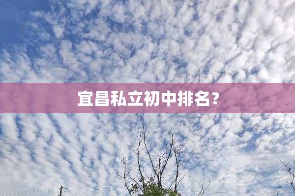 宜昌私立初中排名？