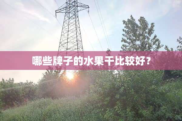 哪些牌子的水果干比较好？