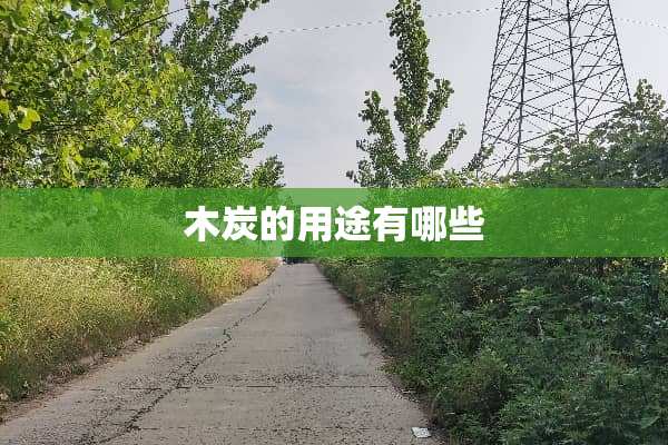 木炭的用途有哪些