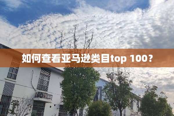 如何查看亚马逊类目top 100？
