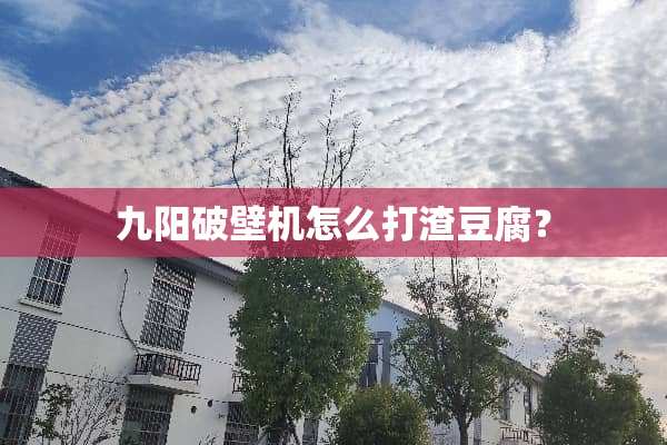 九阳破壁机怎么打渣豆腐？
