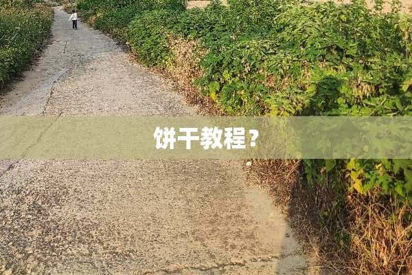 饼干教程？