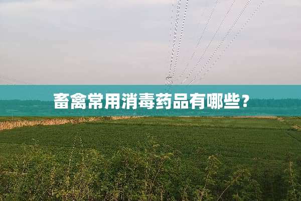畜禽常用消毒药品有哪些？