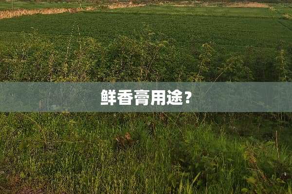 鲜香膏用途？