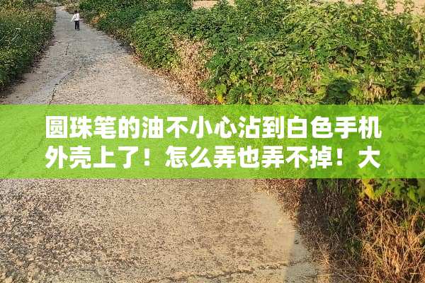 圆珠笔的油不小心沾到白色手机外壳上了！怎么弄也弄不掉！大家帮帮忙呀！