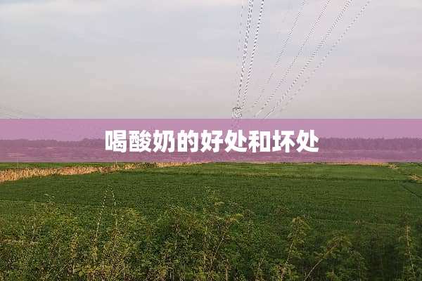 喝酸奶的好处和坏处