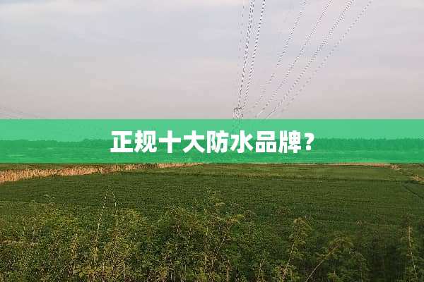正规十大防水品牌？