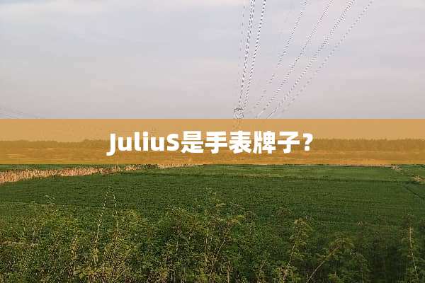 JuliuS是手表牌子？
