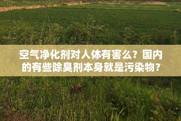 空气净化剂对人体有害么？国内的有些除臭剂本身就是污染物？