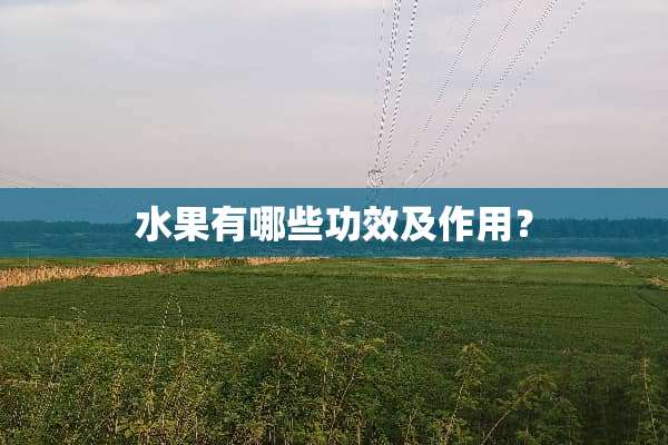 水果有哪些功效及作用？