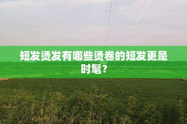 短发烫发有哪些烫卷的短发更是时髦？