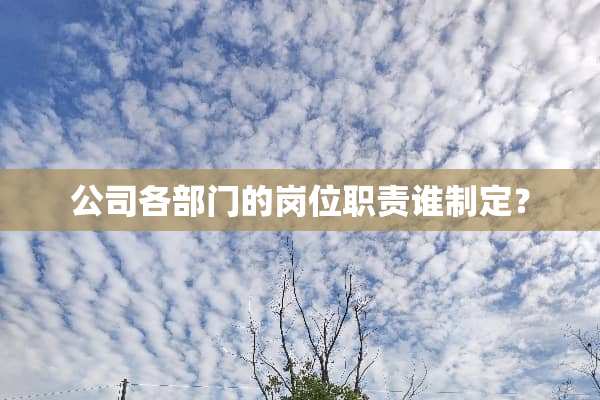 公司各部门的岗位职责谁制定？