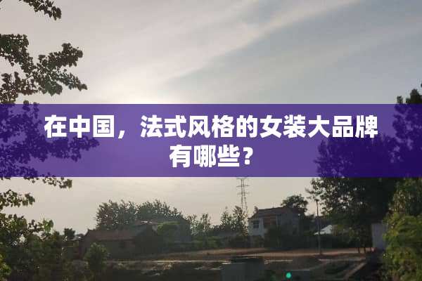在中国，法式风格的女装大品牌有哪些？