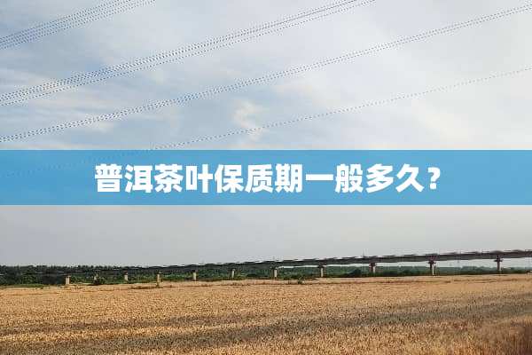 普洱茶叶保质期一般多久？