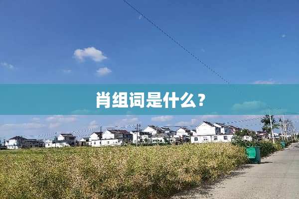 肖组词是什么？