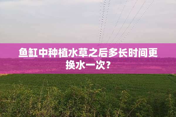鱼缸中种植水草之后多长时间更换水一次？