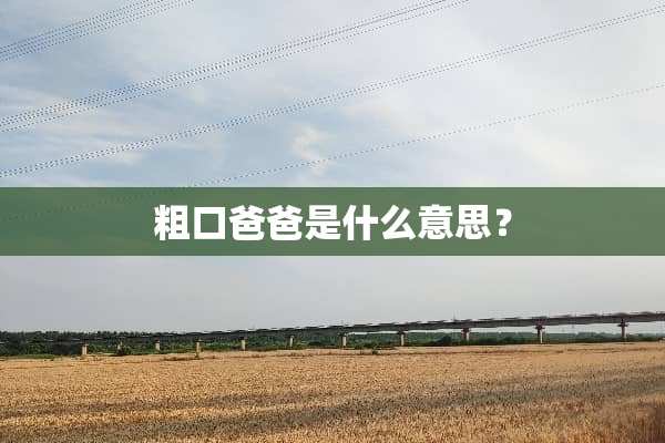 粗口爸爸是什么意思？