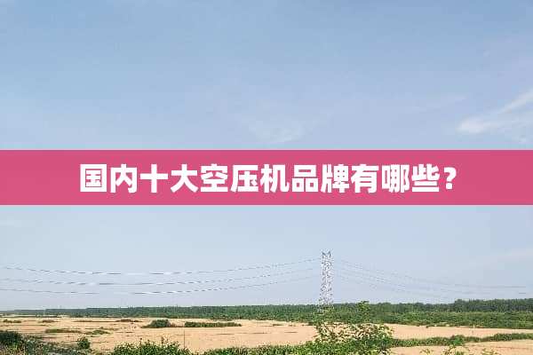 国内十大空压机品牌有哪些？