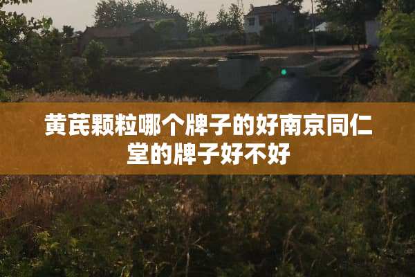 黄芪颗粒哪个牌子的好南京同仁堂的牌子好不好