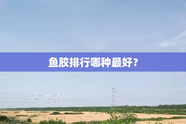 鱼胶排行哪种最好？