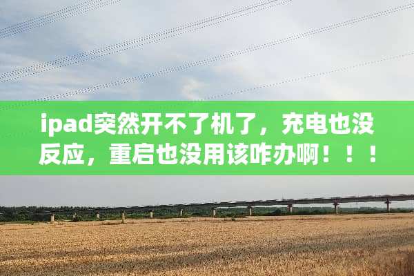 ipad突然开不了机了，充电也没反应，重启也没用该咋办啊！！！