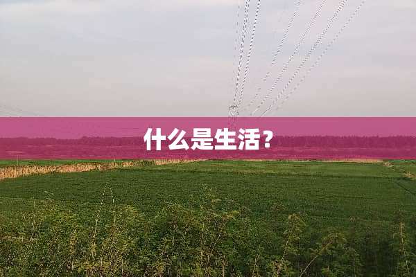 什么是生活？
