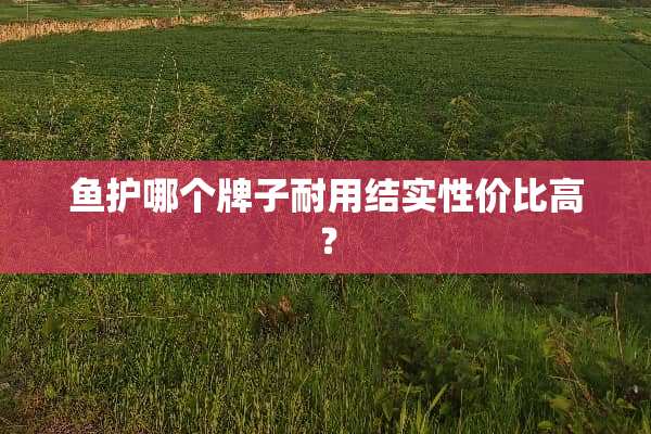 鱼护哪个牌子耐用结实性价比高？