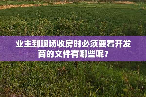 业主到现场收房时必须要看开发商的文件有哪些呢？