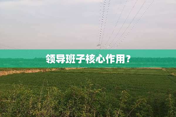 领导班子核心作用？