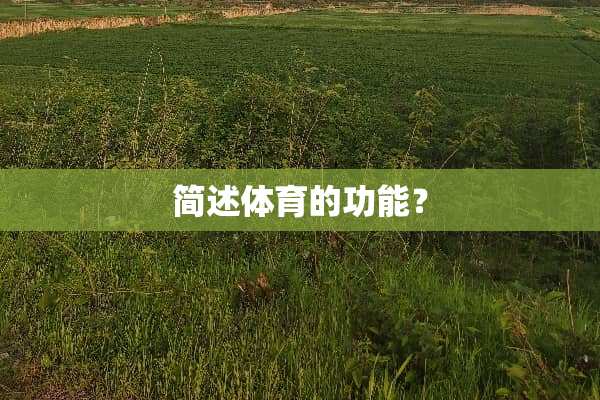 简述体育的功能？