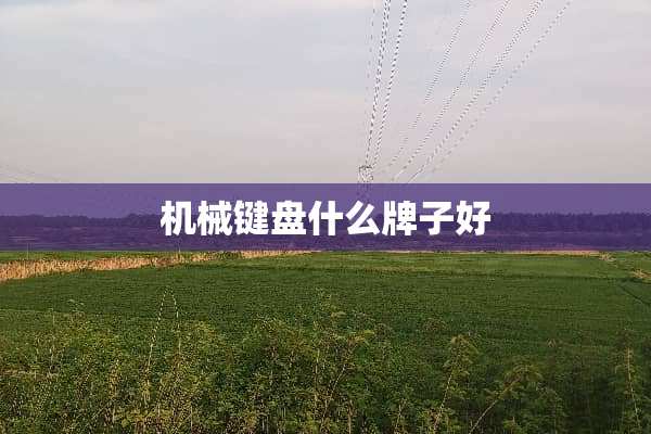 机械键盘什么牌子好