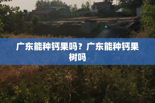 广东能种钙果吗？广东能种钙果树吗