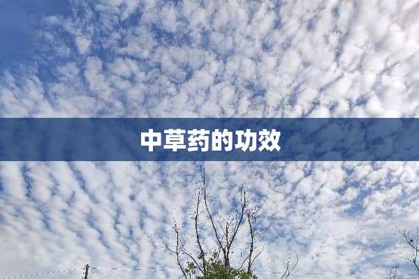 中草药的功效