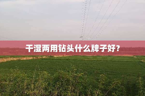 干湿两用钻头什么牌子好？