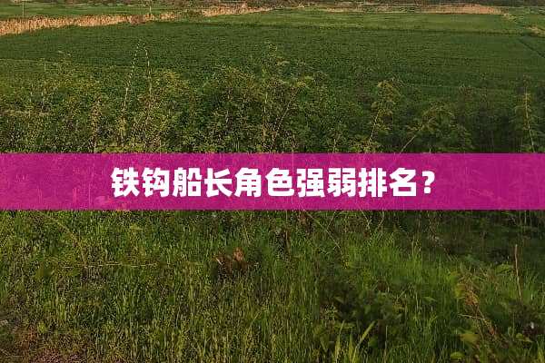 铁钩船长角色强弱排名？