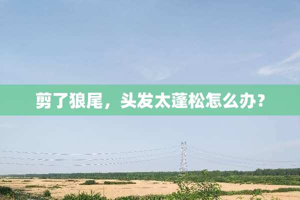 剪了狼尾，头发太蓬松怎么办？