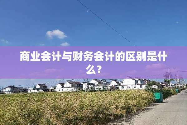 商业会计与财务会计的区别是什么？