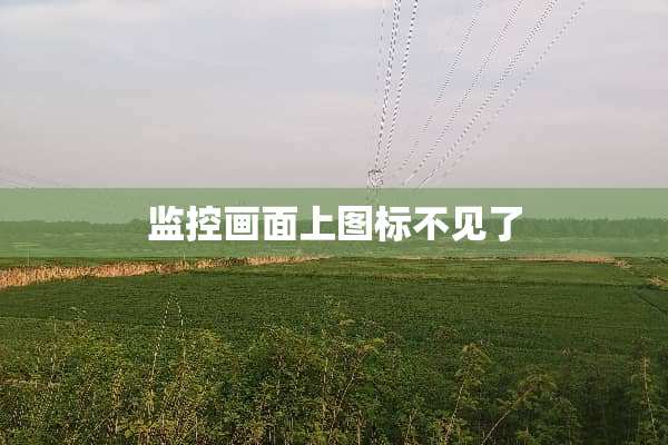 监控画面上图标不见了