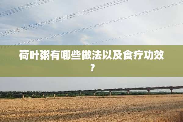 荷叶粥有哪些做法以及食疗功效？