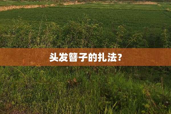 头发簪子的扎法？
