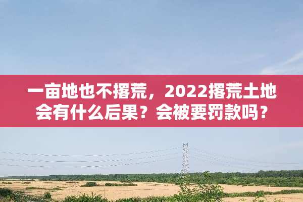 一亩地也不撂荒，2022撂荒土地会有什么后果？会被要罚款吗？