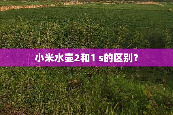 小米水壶2和1 s的区别？