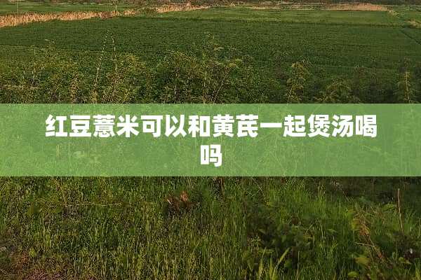 红豆薏米可以和黄芪一起煲汤喝吗
